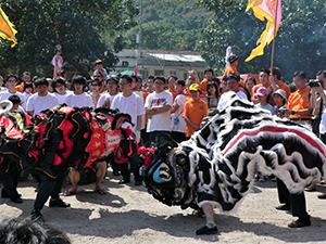 Lion dance, Tai Ping Ching Chiu at Shek O, a once in a decade 'Prayer Festival', 4 November 2006