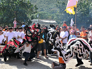 Lion dance, Tai Ping Ching Chiu at Shek O, a once in a decade 'Prayer Festival', 4 November 2006