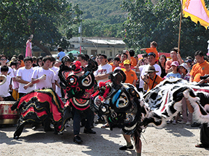 Lion dance, Tai Ping Ching Chiu at Shek O, a once in a decade 'Prayer Festival', 4 November 2006