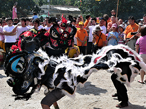 Lion dance, Tai Ping Ching Chiu at Shek O, a once in a decade 'Prayer Festival', 4 November 2006