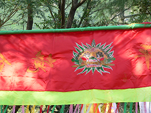 Detail of a banner, Tai Ping Ching Chiu at Shek O, a once in a decade 'Prayer Festival', 4 November 2006