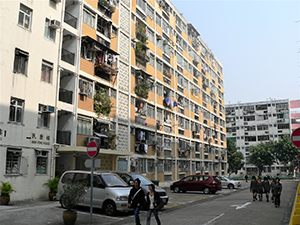 Tai Hang Sai Estate, Shek Kip Mei, 26 January 2007