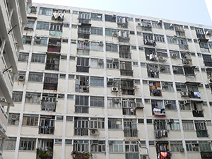 Tai Hang Sai Estate, Shek Kip Mei, 26 January 2007