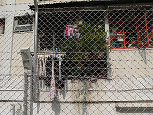 Tai Hang Sai Estate, Shek Kip Mei, 26 January 2007