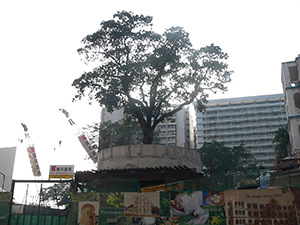 Former Marine Police Headquarters redevelopment, Tsim Sha Tsui, 14 January 2007