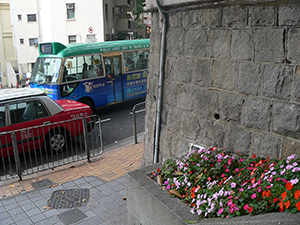 Flowers next to the East Gate of the University of Hong Kong, Bonham Road, 16 February 2007