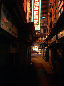 Treasure Lake Seafood Restaurant neon sign, Man Wa Lane, Sheung Wan, 10 April 2007