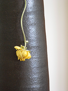 Still life with flower, Sheung Wan, 21 April 2007