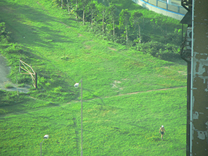 Undeveloped land beside the harbour, Sheung Wan, 31 May 2007