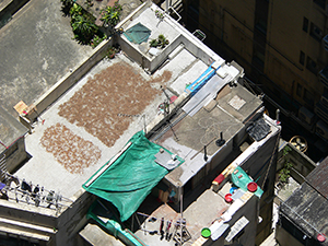 Roof, Sheung Wan, Hong Kong Island, 24 June 2007
