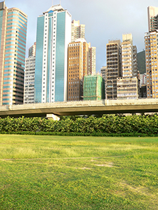 Green area in front of buildings and flyover, Sheung Wan, 16 July 2007