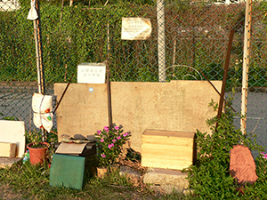 Near the waterfont in Sheung Wan, 16 July 2007