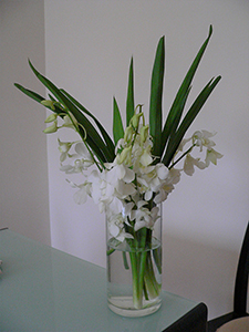 White flowers in a vase, Sheung Wan, Hong Kong Island, 30 September 2007