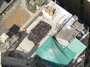 Dry goods airing on a rooftop, Sheung Wan, Hong Kong Island, 11 December 2007
