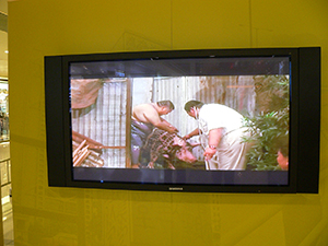 An exhibition concerning the calligraphic graffiti of Tsang Tsou Choi held in a mall, Kwun Tong, 19 January 2008