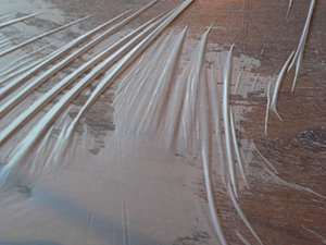 Plastic table cloth in a dai pai dong, Tai Hang, 4 June 2008