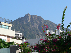 View of Lion Rock, Kowloon, 13 November 2008