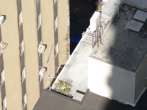 Rooftop scene, Sheung Wan, 10 December 2008