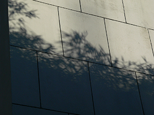 Shadow of trees on the side of a building, Shek Kip Mei, 8 July 2009