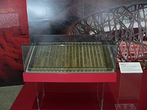 Bamboo slips exhibited in the A Century of China exhibition, Hong Kong Museum of History, Tsim Sha Tsui, 24 December 2009