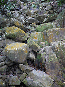 Lung Fu Shan Country Park, 1 January 2010