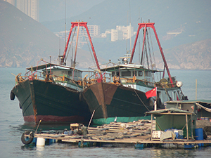 Fishing boats and fish farm, Sok Kwu Wan, Lamma Island, 17 October 2004