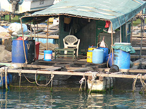Fish farm, Sok Kwu Wan, Lamma Island, 17 October 2004