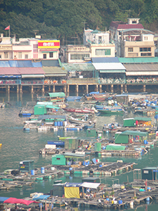 Mariculture rafts and seafood restaurants, Sok Kwu Wan, 17 October 2004