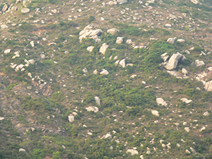 Rocks on a slope, Lamma Island, 17 October 2004