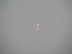 Moon by daylight, 20 October 2004