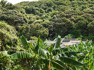 Mo Tat village, Lamma Island, 11 July 2010