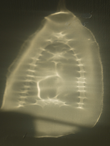 Light reflecting on the wall from the soleplate of an electric iron, Sheung Wan, 2 November 2010