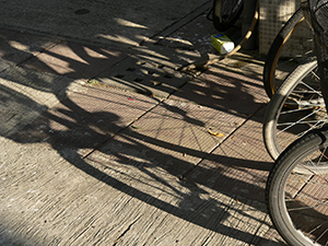Bicycles in afternoon light, Cheung Chau, 14 November 2004