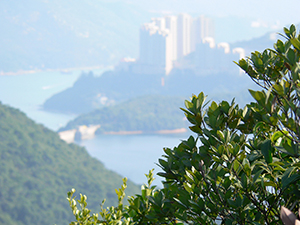 Tai Tam Country Park, 21 November 2004