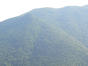 View in Tai Tam Country Park, 21 November 2004