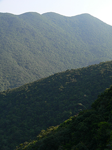 View in Tai Tam Country Park, 21 November 2004