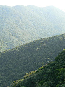 View in Tai Tam Country Park, 21 November 2004