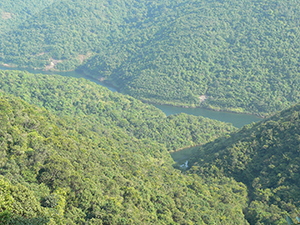 View in Tai Tam Country Park, 21 November 2004