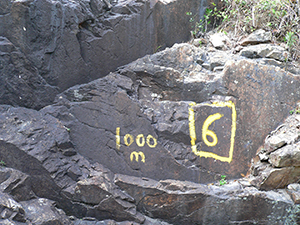 Markings on a rock, Tai Tam Country Park, 21 November 2004