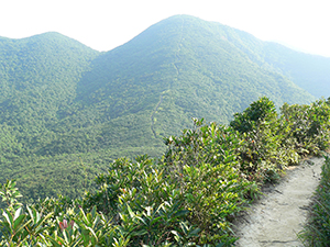 View in Tai Tam Country Park, 21 November 2004