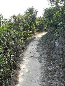 View in Tai Tam Country Park, 21 November 2004