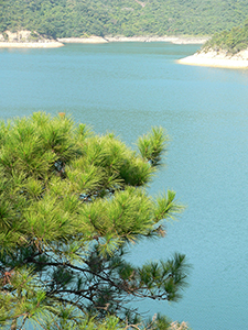 Tai Tam Reservoir, Hong Kong Island, 21 November 2004