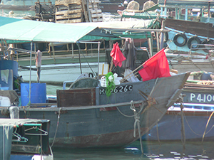 Boats moored in Cheung Chau harbour, 14 November 2004