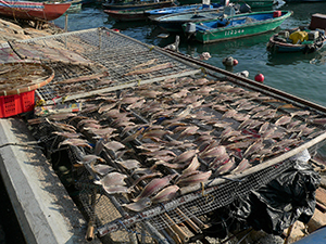 Curing seafood, Cheung Chau, 14 November 2004