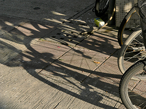 Bicycles, Cheung Chau, 14 November 2004