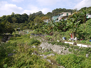 Chuen Lung village,  17 January 2012