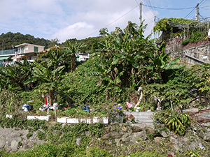 Chuen Lung village, 17 January 2012