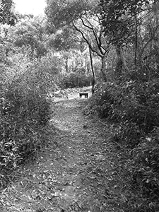 Village path near Chuen Lung village, 17 January 2012