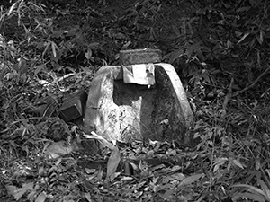 Grave site near Chuen Lung village, New Territories, 17 January 2012