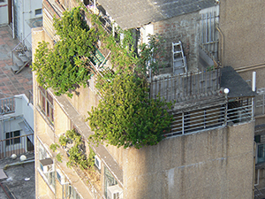 Light on buildings, Sheung Wan, 1 December 2004